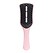 Tickled Pink (Rose claire)